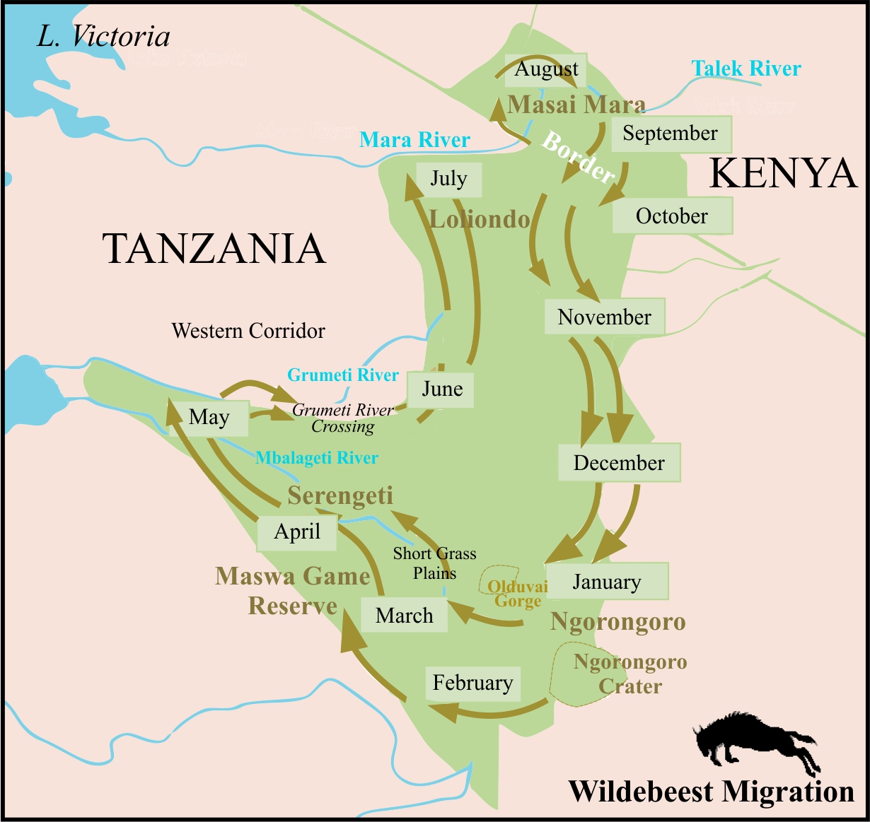 Courtesy: galleryhip.com